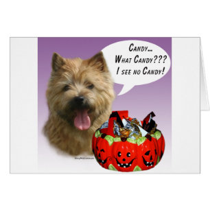 Norwich Terrier Halloween Candy Cards