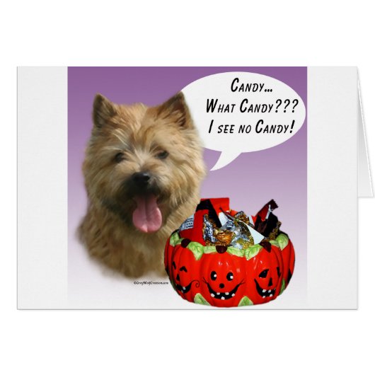 Norwich Terrier Halloween Candy Cards (Front Horizontal)