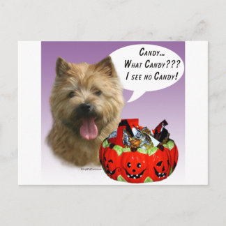 Norwich Terrier Halloween Candy Postcard