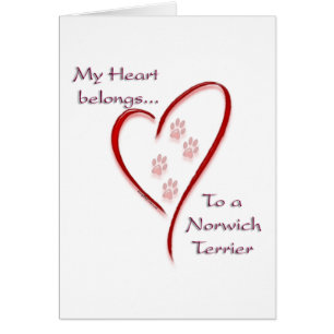 Norwich Terrier Heart Belongs Cards