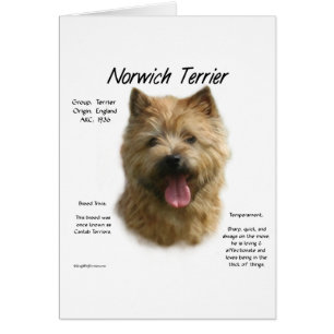 Norwich Terrier History Design Cards