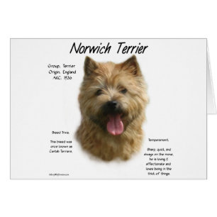 Norwich Terrier History Design Cards