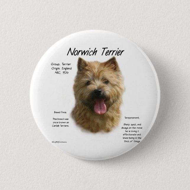 Norwich Terrier History Design Pinback Button (Front)