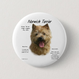 Norwich Terrier History Design Pinback Button