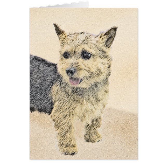 Norwich Terrier Painting - Cute Original Dog Art (Front)