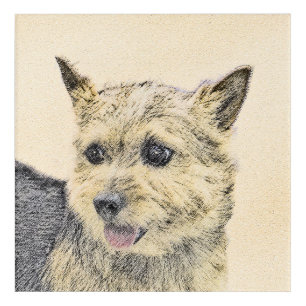 Norwich Terrier Painting - Cute Original Dog Art