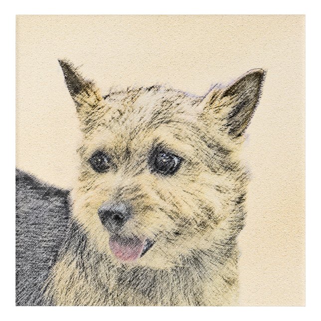 Norwich Terrier Painting - Cute Original Dog Art (Front)