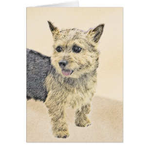 Norwich Terrier Painting - Cute Original Dog Art Cards