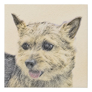 Norwich Terrier Painting - Cute Original Dog Art Faux Canvas Print