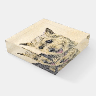 Norwich Terrier Painting - Cute Original Dog Art Paperweight