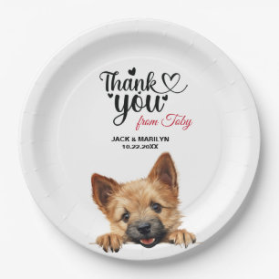 Norwich Terrier Paper Plates