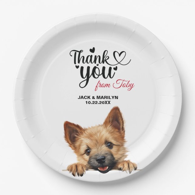 Norwich Terrier Paper Plates (Front)