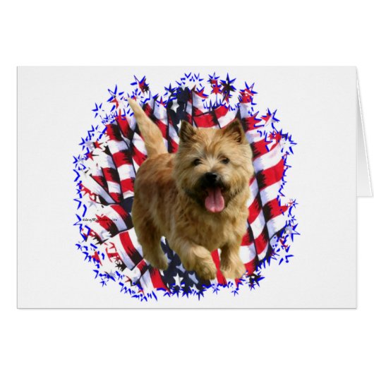 Norwich Terrier Patriot Cards (Front Horizontal)