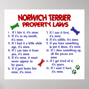 NORWICH TERRIER PL2 POSTER