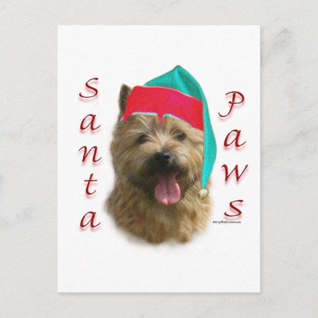 Norwich Terrier Santa Paws Holiday Postcard (Front)