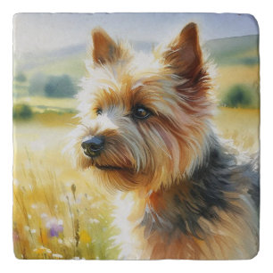 Norwich Terrier Trivet