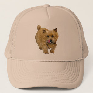 Norwich Terrier Trucker Hat