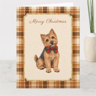Norwich Terrier Winter Christmas Card