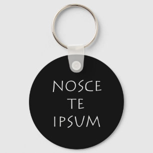 Nosce te ipsum keychain