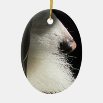 Nose And Tail Ceramic Ornament by ebroskie1234 at Zazzle