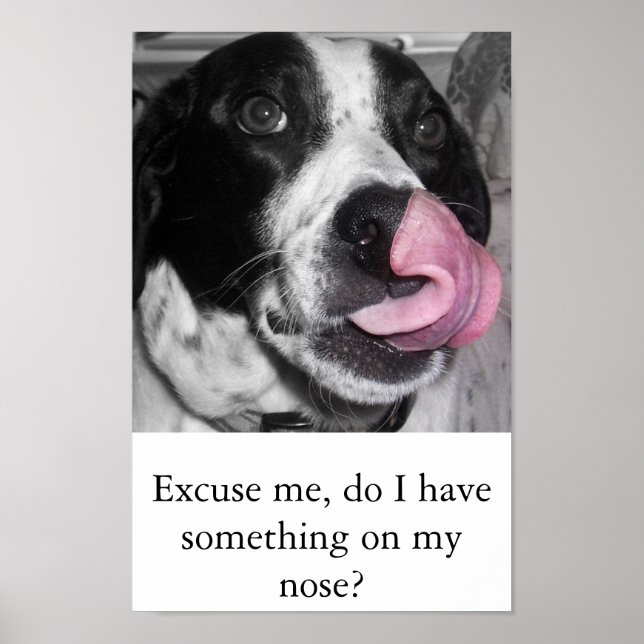Nose Job Poster (Front)