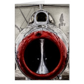 Nose of the plane (Front)