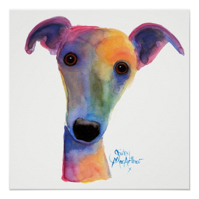 Nosey Dog ' Pansy ' by Shirley MacArthur Poster (Front)