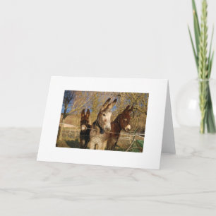Nosey Neighbours Holiday Card
