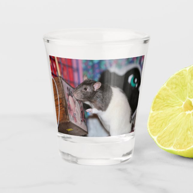 Nosey Rat Shot Glass (Front)