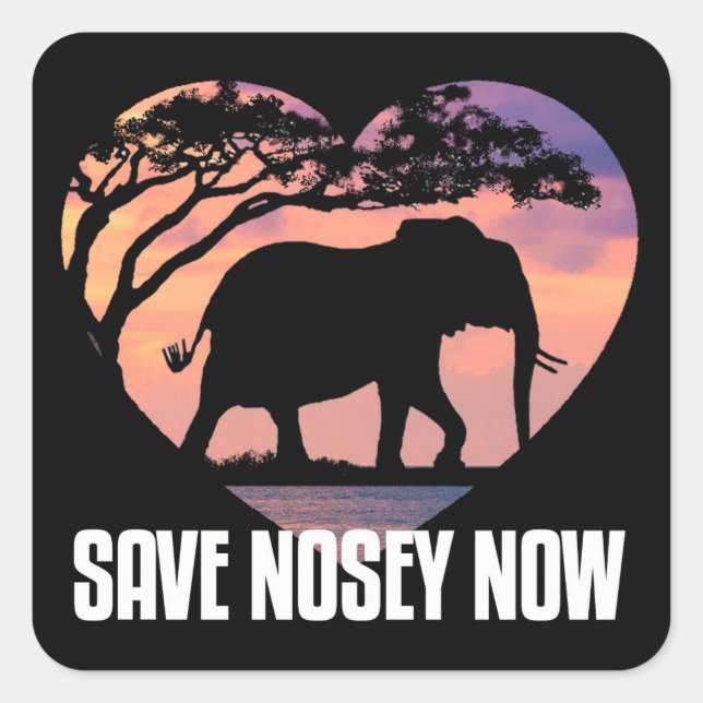 Nosey Sticker. Decal Square Sticker (Front)