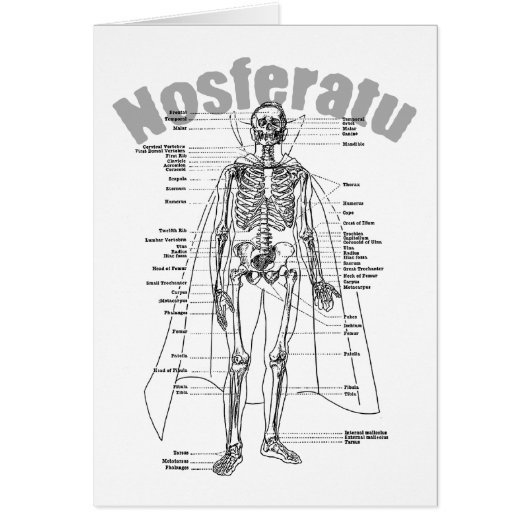 Nosferatu Cards (Front)