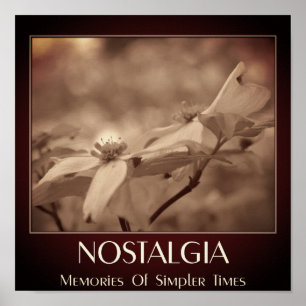 Nostalgia Sepia Dogwood Flower Poster