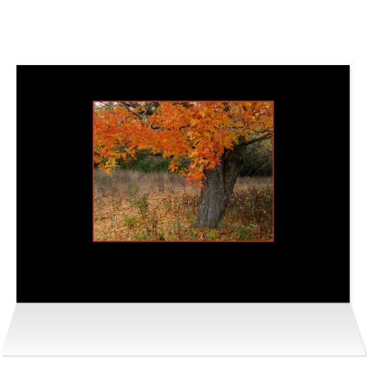 Nostalgic Amber Autumn Card (Inside Horizontal (Top))