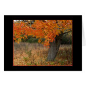 Nostalgic Amber Autumn Card (Front Horizontal)