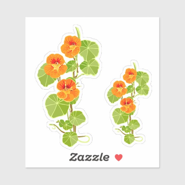 Nostalgic Nasturtium Sticker (Sheet)