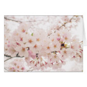 nostalgic sakura cards (Front Horizontal)