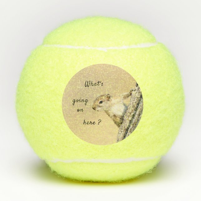 Nosy and cute Tree Squirrel photo Tennis Balls (Front)
