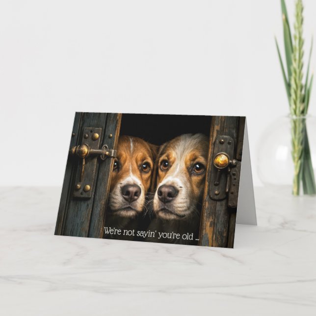 Nosy Birthday Dogs In Old Doorway Card (Front)