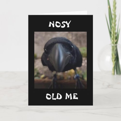 NOSY CROW SAYS IS IT YOUR BIRTHDAY CARD