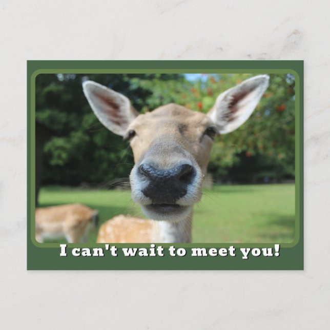 Nosy Deer Can't Wait to Meet You Teacher Note Postcard (Front)