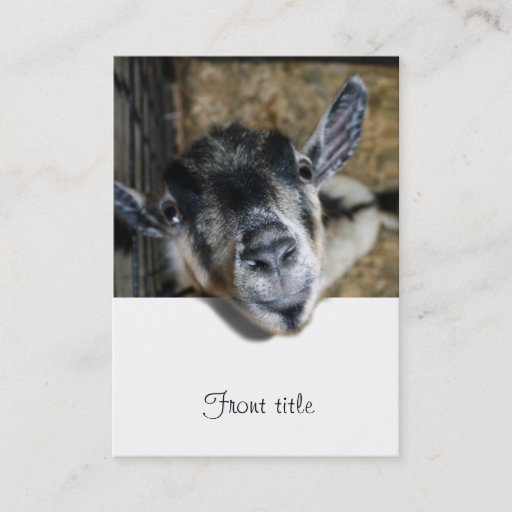 Customizable Nosy Goat Looking Out Business Card Templates