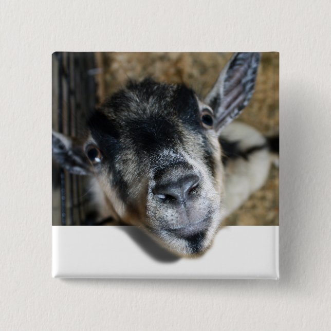 Nosy Goat Looking Out Button (Front)