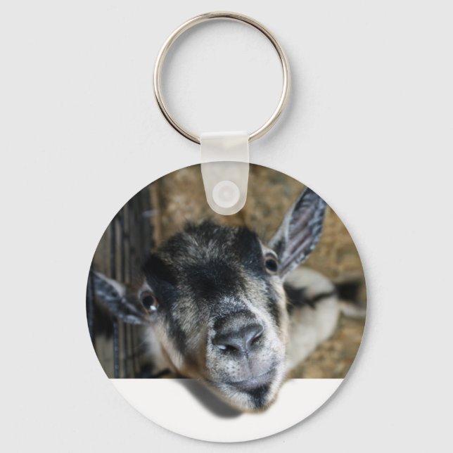 Nosy Goat Looking Out Keychain (Front)