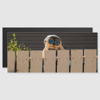 Nosy Neighbor Fridge Magnet