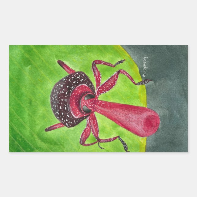 Nosy Rectangular Sticker (Front)