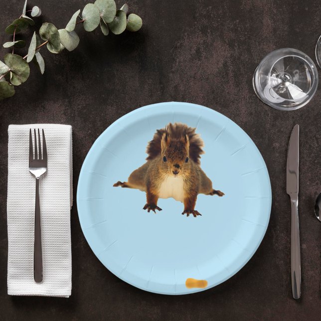 Nosy red squirrel in snow blue paper plates (Creator Uploaded)