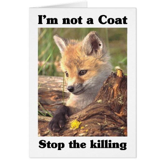 Not A Coat-Fox Cards (Front)
