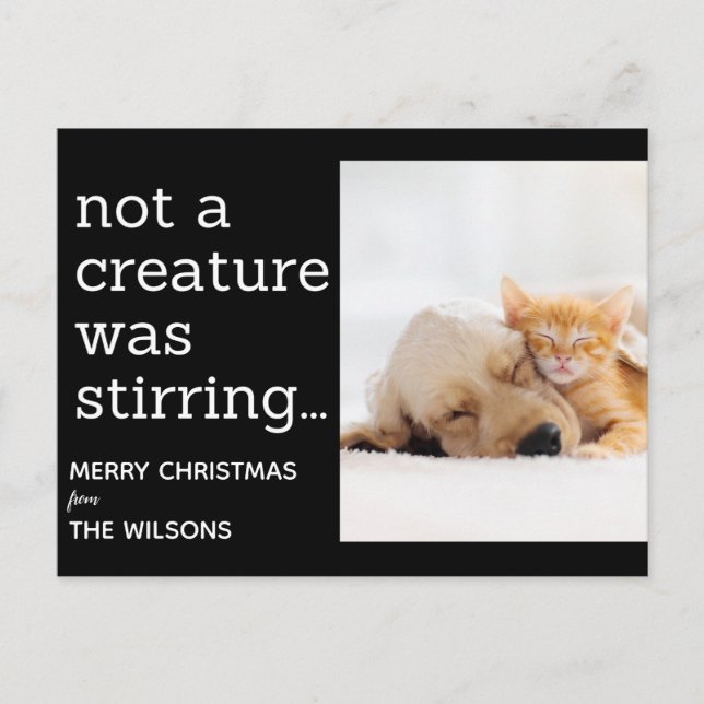 not a creature was stirring black photo christmas postcard (Front)