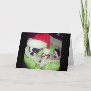 Not a creature was stirring... BLANK CARD