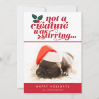 Not a Creature Was Stirring | Pet Christmas Photo Holiday Card